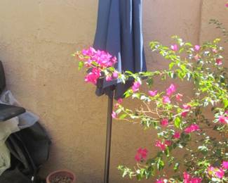 Lighted Umbrella/Stand