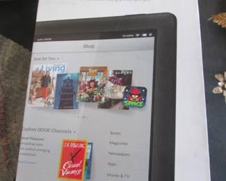 "Nook" eReader