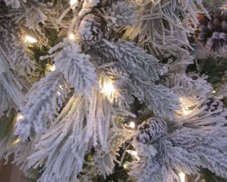 Tree Details