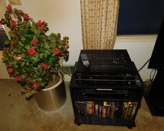 SILK PLANT & RECEIVER