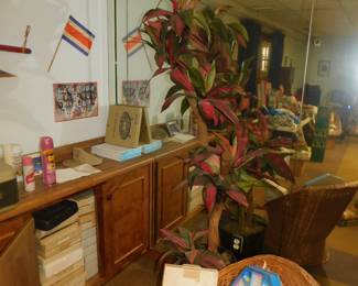 Silk Plant