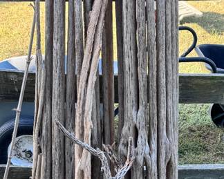 Dried Suguaro Catuses