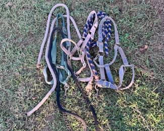 Lot of Horse Halters