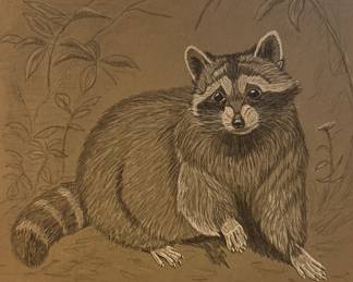 Original Raccoon