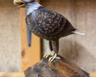 Hand-Carved Eagle Mounted on Driftwood. 