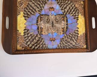 Butterfly Wings Art - Owl - Tray