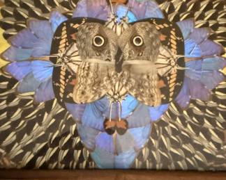 Butterfly Wings Art - Owl - Tray