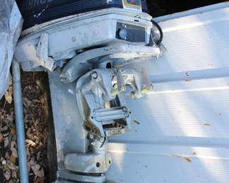 Evinrude 25