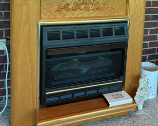 DESA International Vent-Free Gas Space Heater 