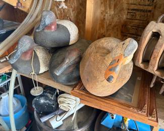 . . . just four of a decoy collection -- a couple of nice canvass backs in this fouresome