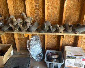 …fabulous Pecore and Reghie duck decoys