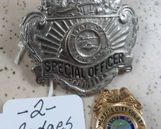 Tennessee Badges