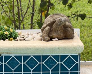 Turtle decor