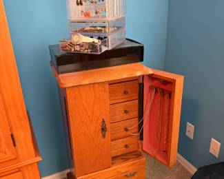 Jewelry cabinet and jewelry 