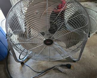 Fan