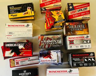 Ammunition 
40 S&W
9mm
380
223/556
22
12 Gauge