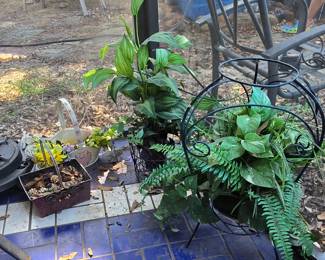 Artificial Plants - Plant Stands