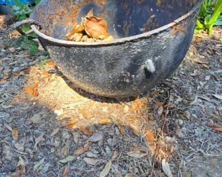 Cast Iron Pot
