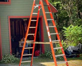 Werner 10ft Ladder
