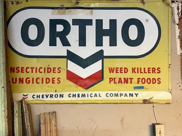 ortho