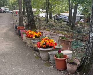 several large flower pots