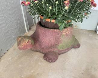 planter & mum