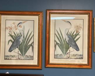 Pair Framed Bird Prints