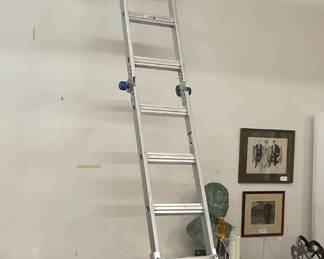 Werner Aluminum Folding Ladder