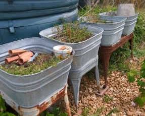 Galvanized Planters
