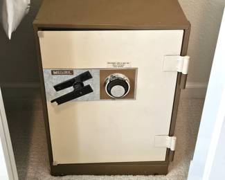 Gun Safe