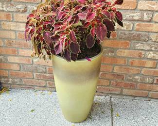 Tall Resin Planter with Live Coleus Plant – 21"x12" Outdoor Patio Pot