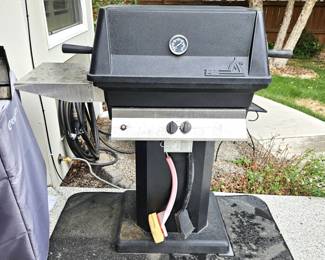 PGS Natural Gas Grill – Durable Outdoor BBQ w/ Side Shelf and Grill Surface Included