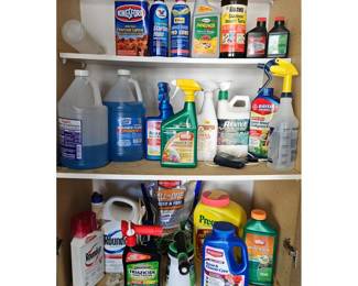 Assorted Cleaning Supplies