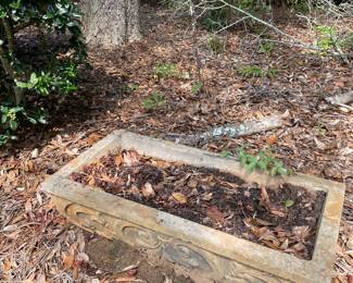 1 of several concrete planters