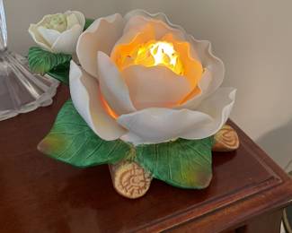 Magnolia light