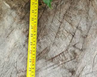 Dry Camphor slabs 6ft