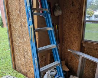 Werner Ladder