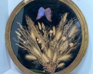 Antique Butterfly Taxidermy