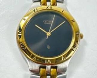 Citizen Watch