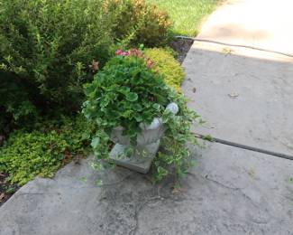 flower  pot