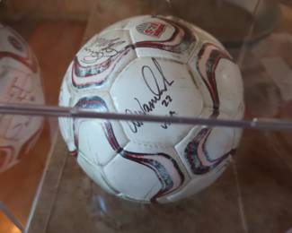 another  view  of  ball