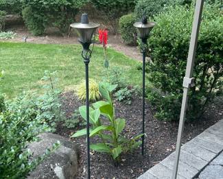 Torch 