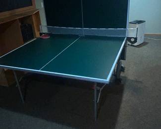 Indoor and outdoor ping pong table 