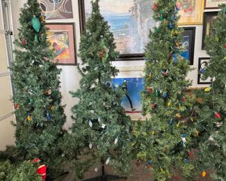 Lighted Christmas trees