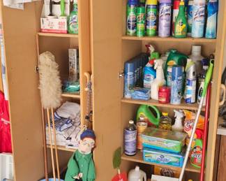 Tons of cleaning chemicals 