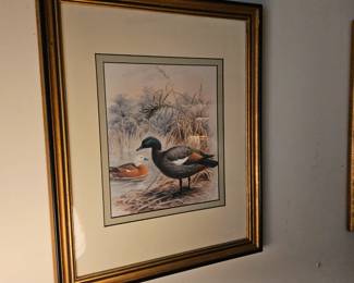 DUCK PRINTS 