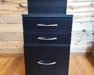 Lot #118 - Faux Leather File Cabinet Plus Storage Box