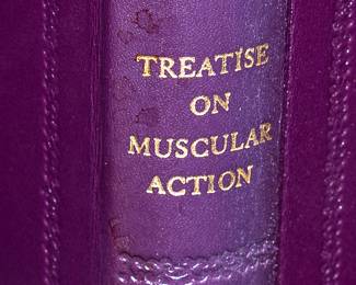 Antique and Vintage Books
