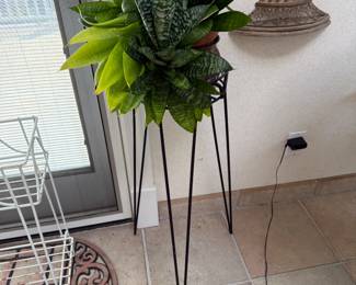 Lots of Plant Stands