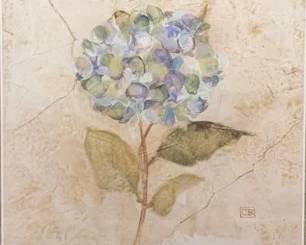 Go to https://toledoliquidations.hibid.com/ to see the entire auction